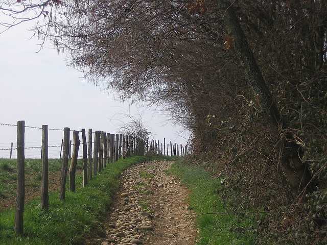 Foto Von Hijodelaluz (CC BY-NC-ND 2.0)