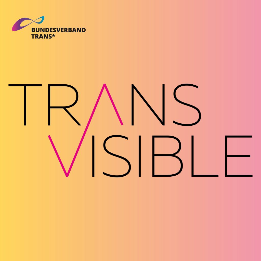 Auf gelbem Hintergrund steht der Titel der Konferenz: "Transvisible" (auf deutsch: Transsichtbarkeit). In der Ecke ist das Logo des BVT*