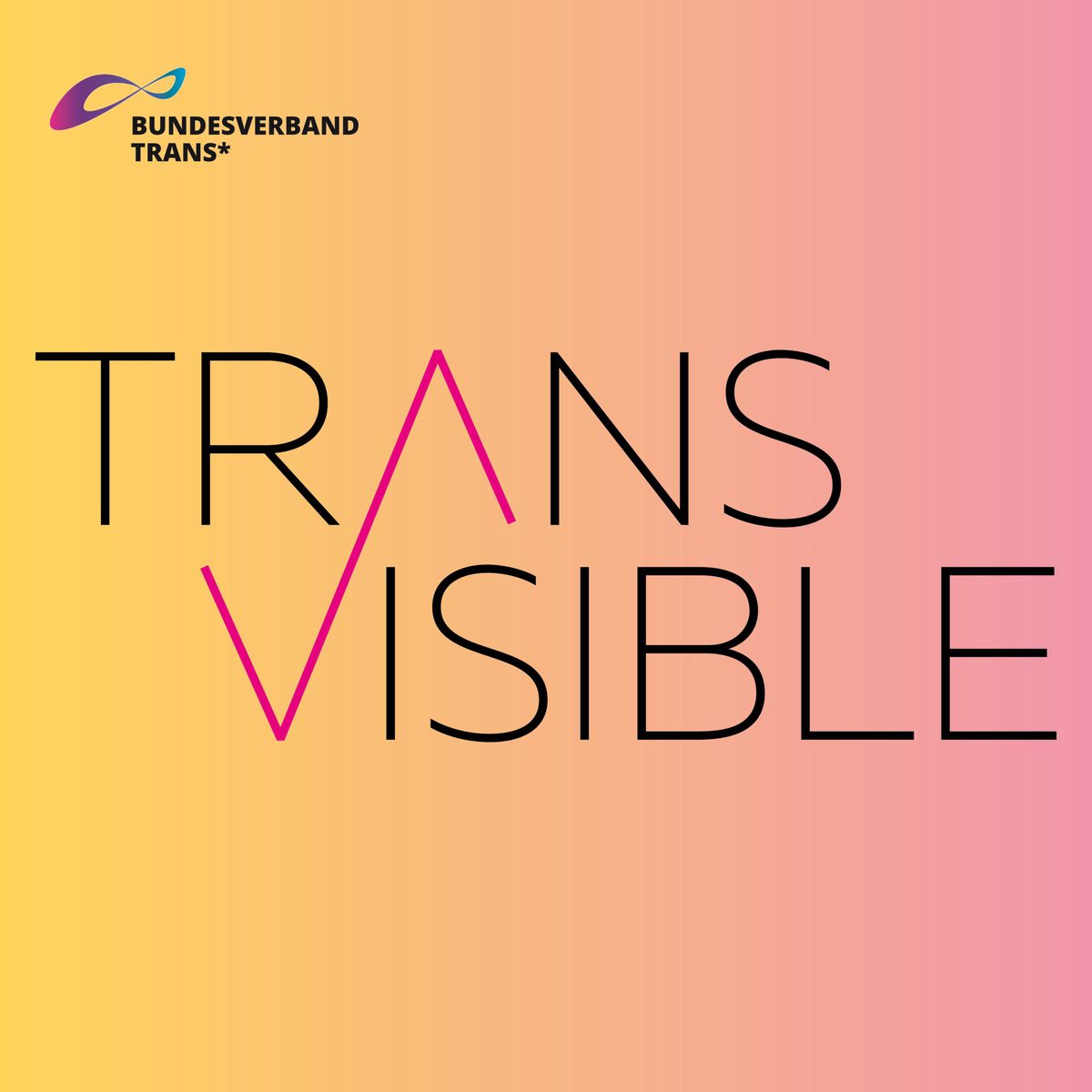 Auf gelbem Hintergrund steht der Titel der Konferenz: "Transvisible" (auf deutsch: Transsichtbarkeit). In der Ecke ist das Logo des BVT*