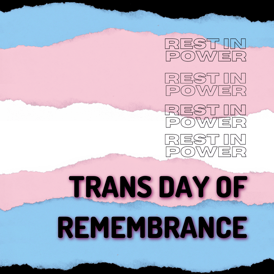 BVT Grafik. Der Hintergrund ist in den Farben der Transfahne gehalten: blau, rosa, weiß, rosa und blau. Oben und unten sind schwarze Streifen, die Trauer symbolisieren. Im unteren Drittel steht in schwarzer Schrift „Trans Day of Remembrance“. Darüber steht mehrfach „Rest in Power“.