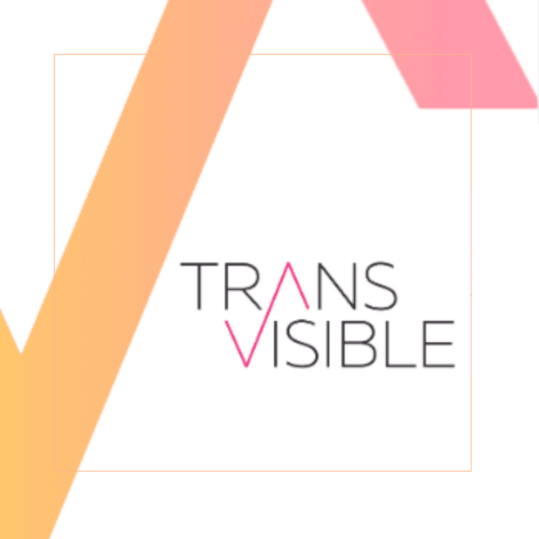 Logo des Projekts Trans* und Arbeitsmarkt: Transvisible